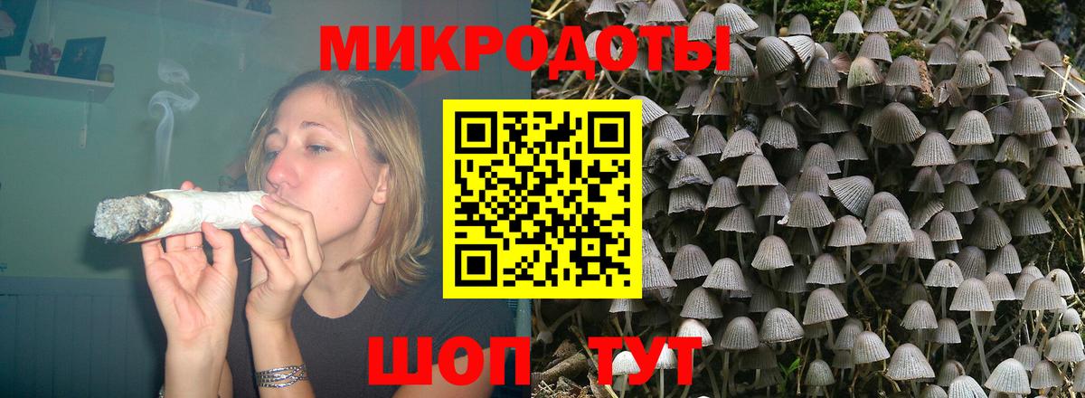 Галлюциногенные грибы Cubensis Октябрьский